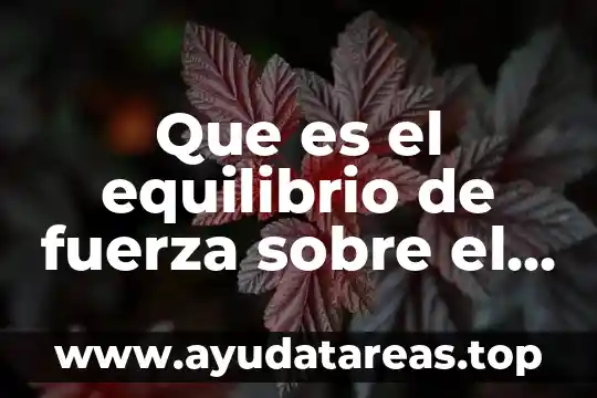 Que es el equilibrio de fuerza sobre el objeto