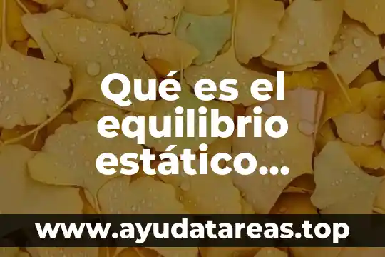 Qué es el equilibrio estático humano
