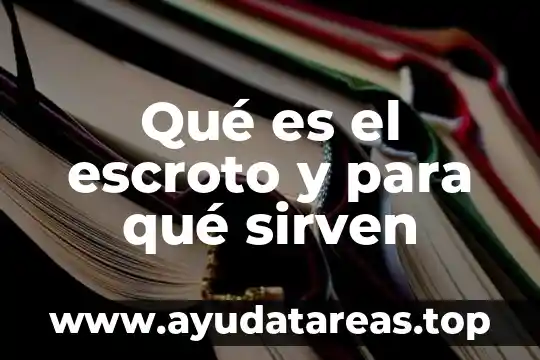 Qué es la imantación en química definición 5 Qué es el escroto y para qué sirven