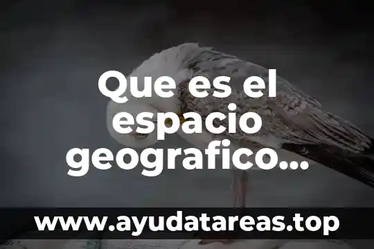 Que es el espacio geografico bago pagina