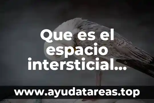 Volumen estático pulmonar que es 4 Que es el espacio intersticial pulmonar