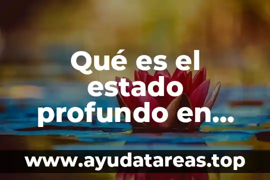 Que es significa u en estados unidos 8 Qué es el estado profundo en estados unidos