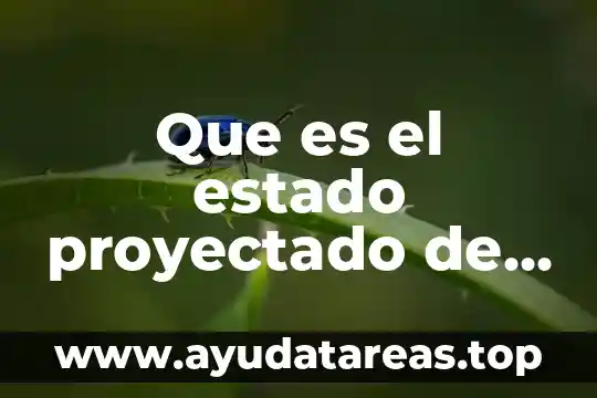 Que es el estado proyectado de resultados