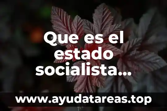 Que es el estado socialista definicion