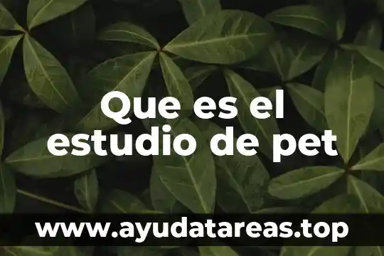 Que es revit estudio 4 Que es el estudio de pet