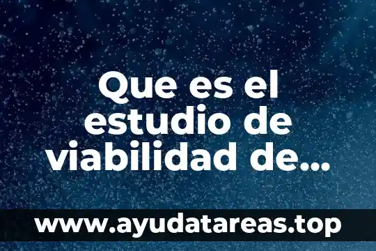 Que es el estudio de viabilidad de un proyecto