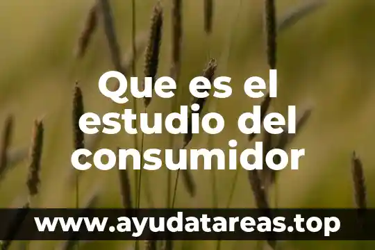 Que es el estudio del consumidor