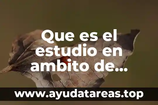 Que es el estudio en ambito de realizacion personal