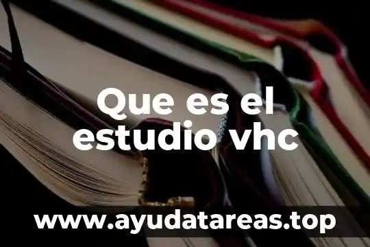 Que es eurocentrismo en filosofía 6 Que es el estudio vhc