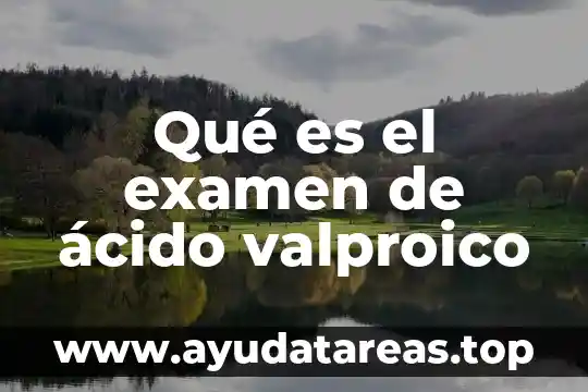 Que es una brida y sus tipos 4 Qué es el examen de ácido valproico