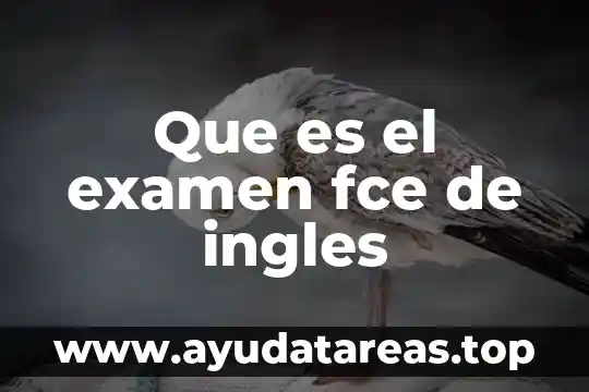 Qué es el método de examen el ACE-V 4 Que es el examen fce de ingles