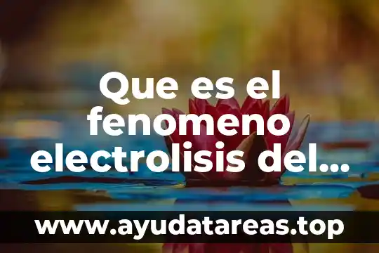 Que es una presas de agua 6 Que es el fenomeno electrolisis del agua