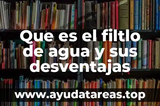 Para que es el agua de perejil 8 Que es el filtlo de agua y sus desventajas