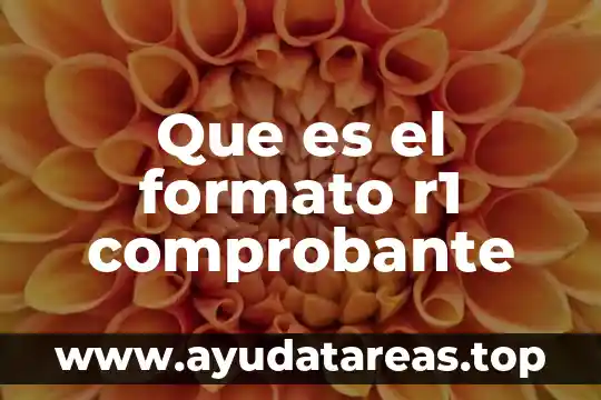 Que es el formato de texto enriquecido 3 Que es el formato r1 comprobante