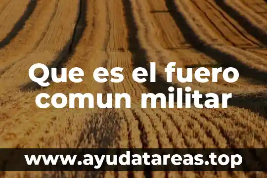 Que es el fuero real y personal 6 Que es el fuero comun militar