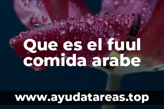 Que es el fuul comida arabe