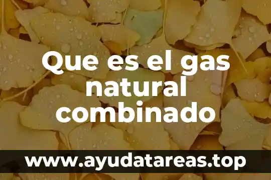 Que es el gas natural combinado