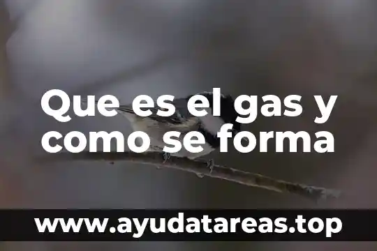 Que es el gas y como se forma