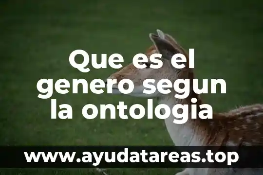 Que es el genero segun la ontologia