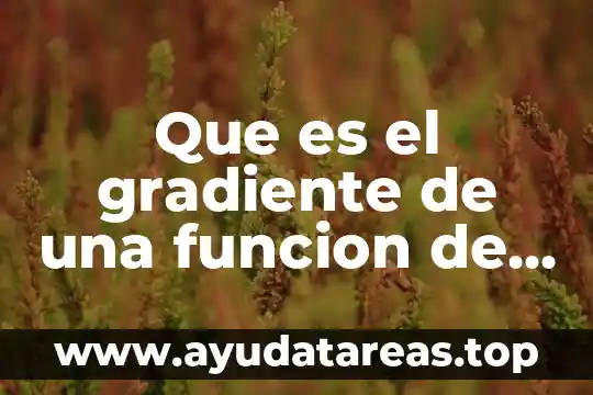 Que es el gradiente de una funcion de varias variables