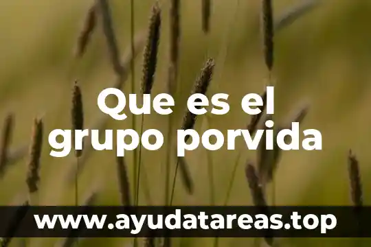 Qué es el número de integrantes del grupo podia aumentar 4 Que es el grupo porvida