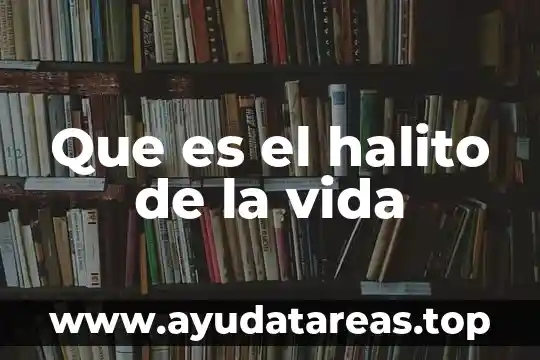 Que es nombre de la organizacion 4 Que es el halito de la vida