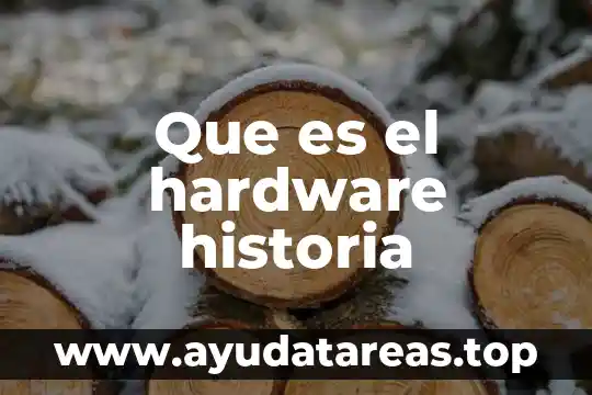Que es el hardware historia