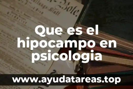 Qué es genograma en psicología 6 Que es el hipocampo en psicologia