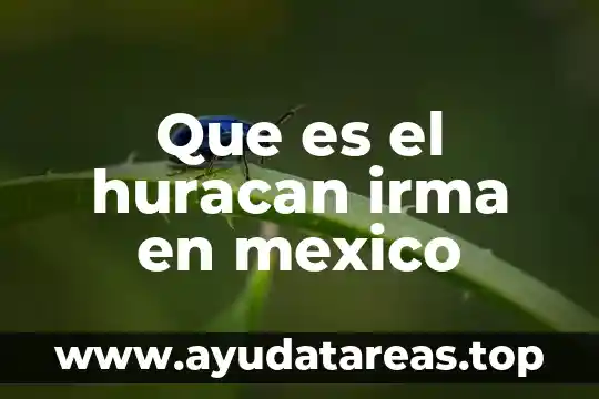 Que es el huracan irma en mexico