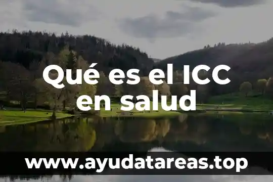 Qué es salud y movimiento definición 5 Qué es el ICC en salud