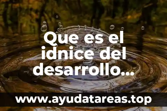 Que es el idnice del desarrollo humano