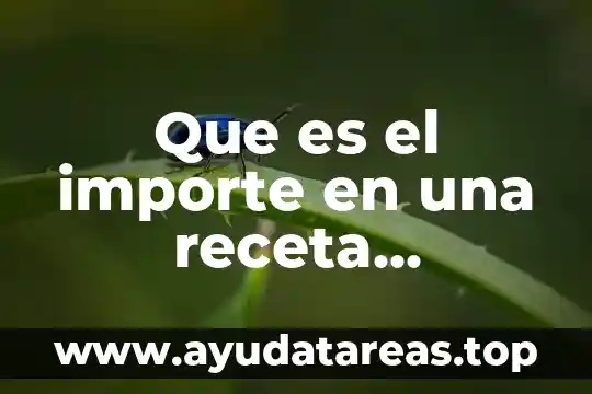 Que es el importe en una receta estandar