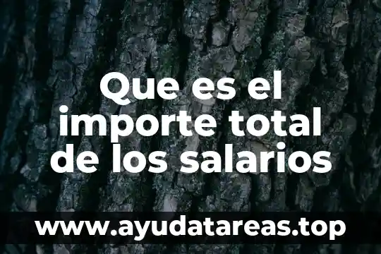 Que es el importe total de los salarios