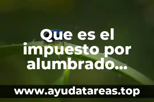 Qué es un servidor un servidor público municipal 7 Que es el impuesto por alumbrado público 2018
