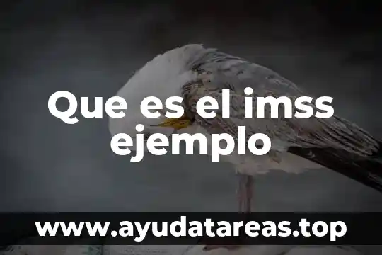 Que es significa reformada en materia de contabilidad 5 Que es el imss ejemplo
