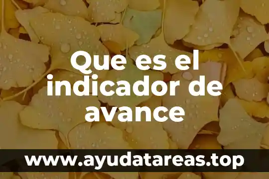 Qué es un indicador en la técnica de valoración volumétrica 6 Que es el indicador de avance
