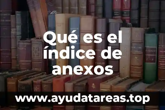 Qué es el índice de anexos
