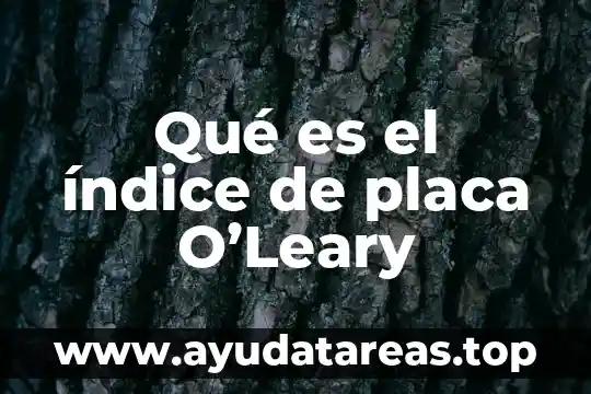 Qué es el índice de placa O’Leary
