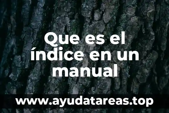 Que es el índice en un manual