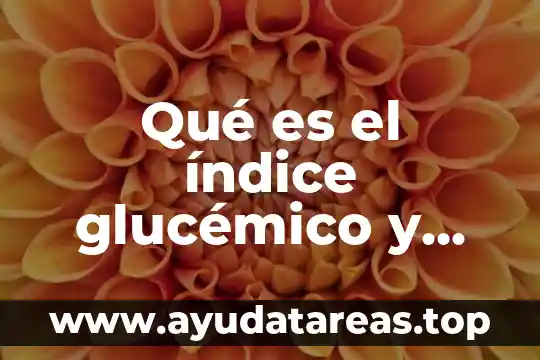 Qué es la química y cuál es su clasificación 7 Qué es el índice glucémico y cuál es su importancia