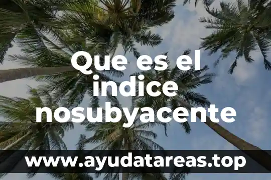 Que es el indice nosubyacente