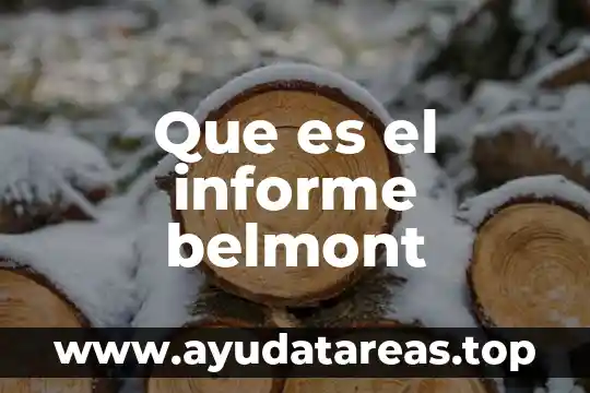 Que es una ley formal 8 Que es el informe belmont