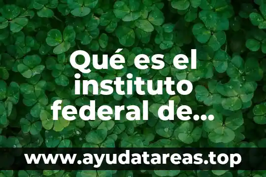 Qué es el instituto federal de defensoría pública