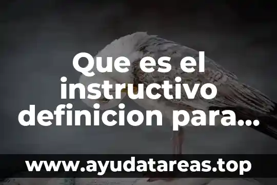 Qué es arpía definición 8 Que es el instructivo definicion para niños
