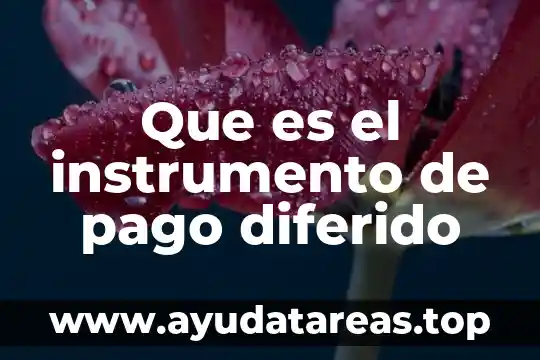 Que es un cargo de instalacion diferido 7 Que es el instrumento de pago diferido