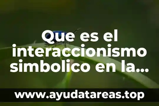 Que es el interaccionismo simbolico en la investigacion cualitativa