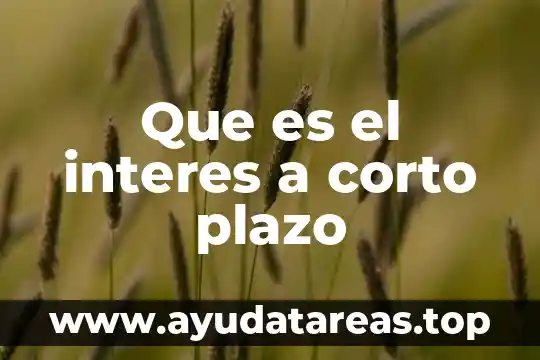 Que es el interes a corto plazo