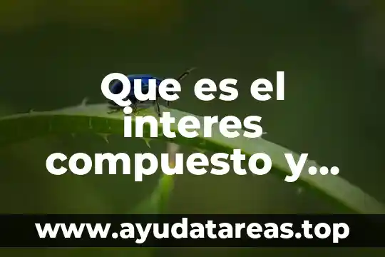 Que es un interes especial personal 4 Que es el interes compuesto y un ejemplo real