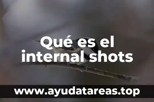 Que es internal en arduino 5 Qué es el internal shots