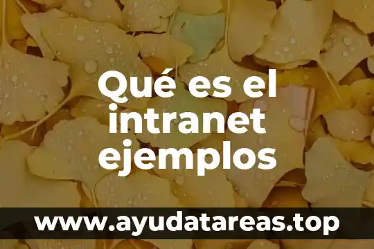 Que es un compuesto ordinario ejemplos 6 Qué es el intranet ejemplos